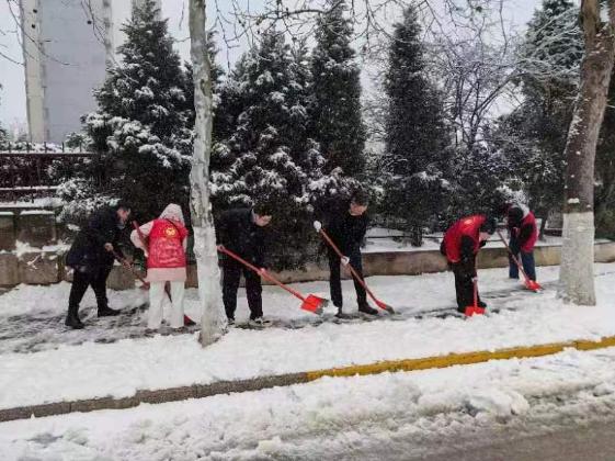 市投创中心开展扫雪除冰志愿服务活动