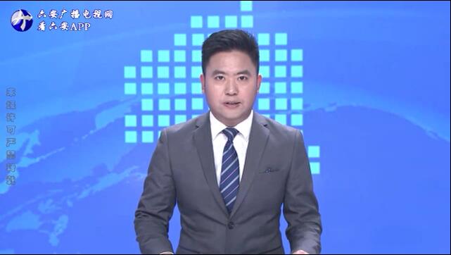 打造“信用+”擦亮“信用六安”城市名片