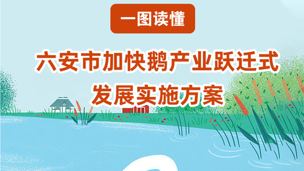 【图片解读】狗万直播人民政府办公室关于印发狗万直播加快鹅产业跃迁式发展实施方案的通知
